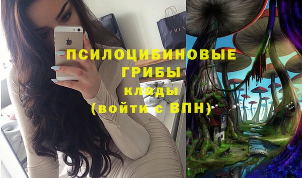 2c-b Абдулино